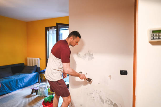 Home Mold Removal in San Anselmo, CA